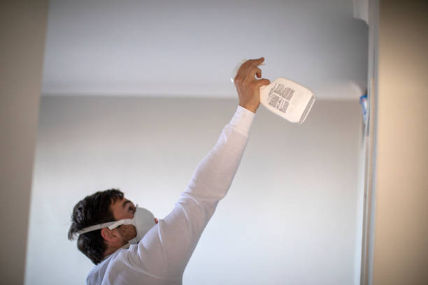 Best Emergency Mold Removal  in Berwyn Heights, MD